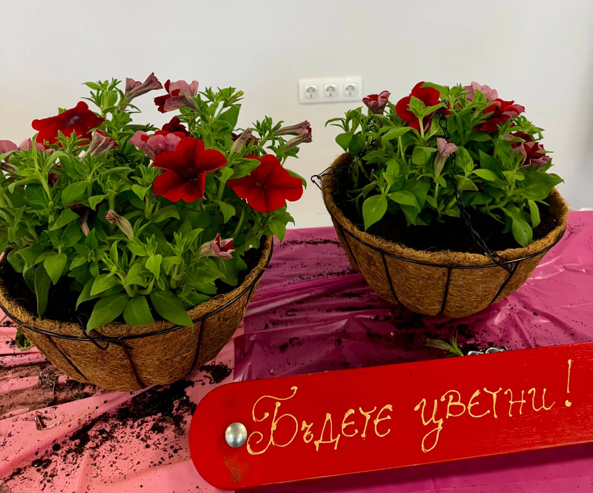 Бъдете цветни